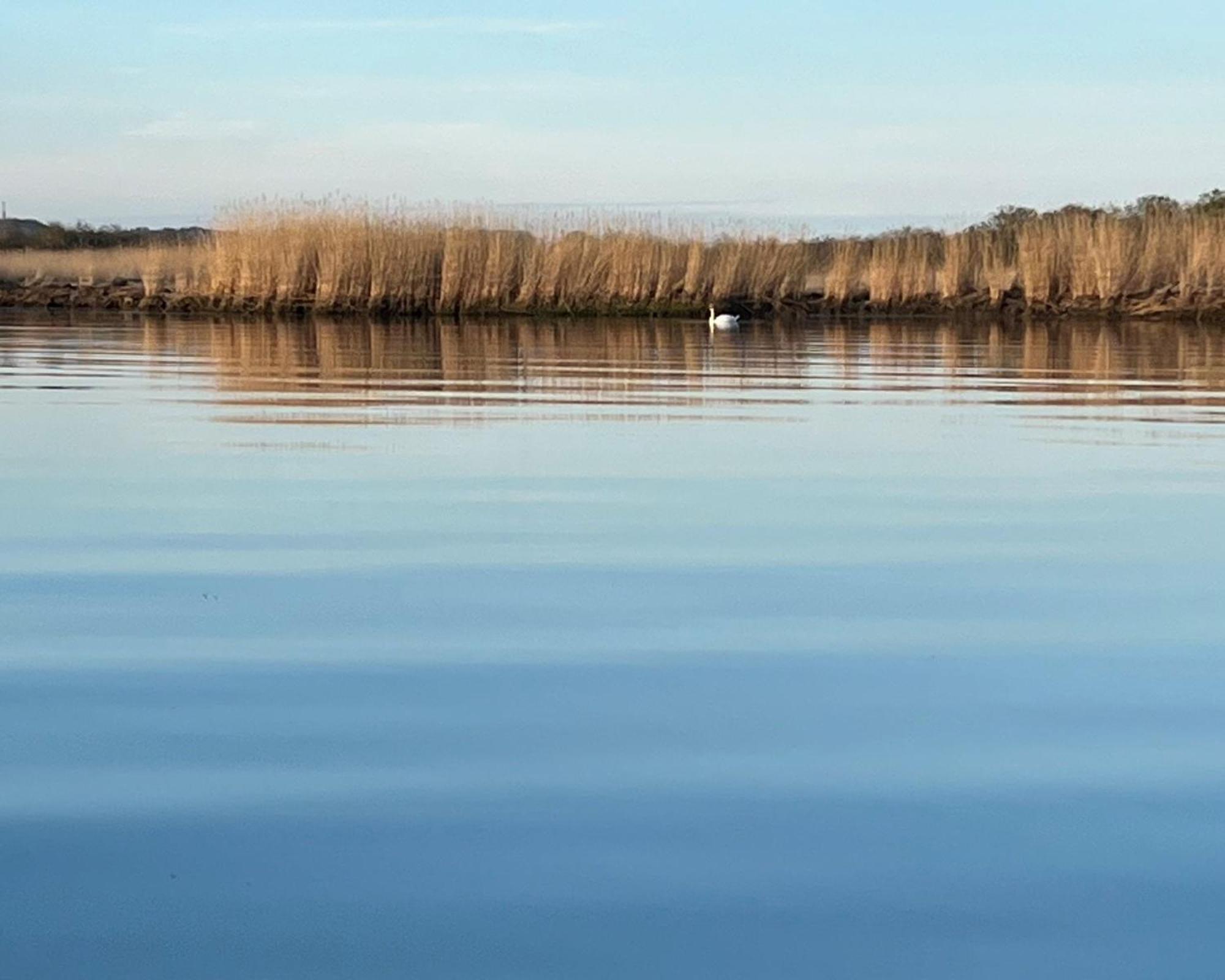 Hausboot Dotterbart Otel Gager Dış mekan fotoğraf